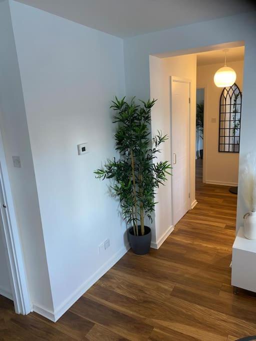 Perfectly Situated Luxury 2 Bedroom Apartment Glasgow Eksteriør billede